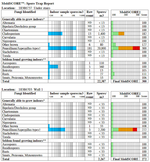MoldSCORE Spore Trap Report showing lab-verified test results